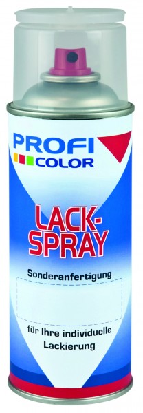 Spraydose -Fill Clean- ProfiColor