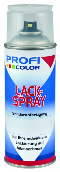 Spraydose -Fill Clean- ProfiColor