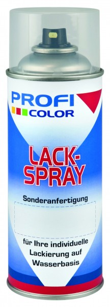 Spraydose -Fill in- ProfiColor
