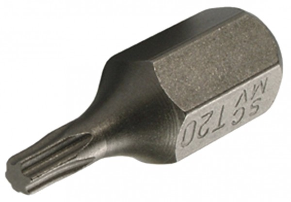 Schraubendreherbit Torx